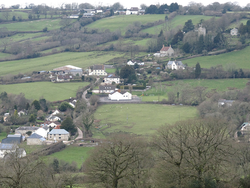 fields