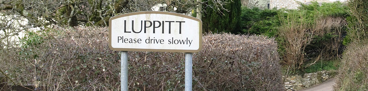 Header Image